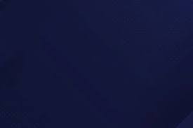 法甲-门德斯世界波破门 巴黎圣日耳曼战平里尔